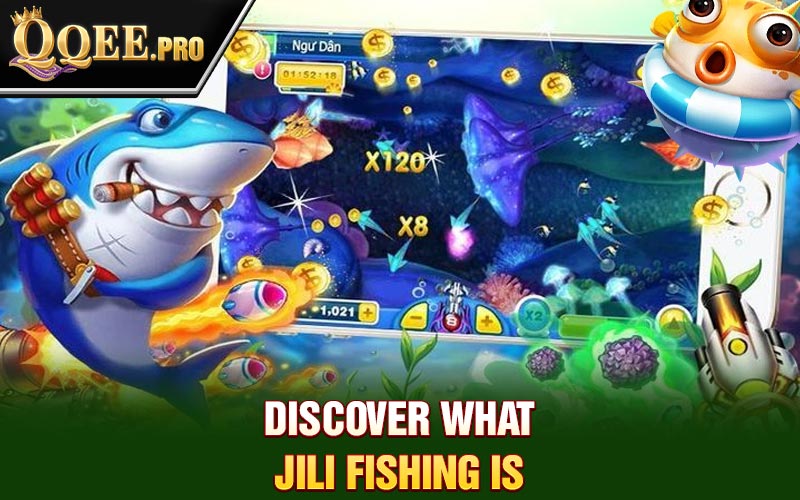 Discover what Jili fishing is