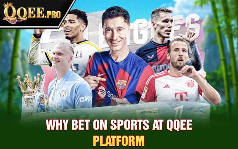 Why bet on sports at Qqee platform